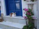 santorini " katje "